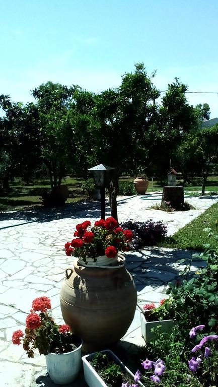 Nireas Apartment Nea Skioni Exterior photo